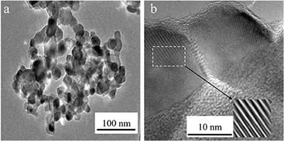 New Insight on the Formation of Sodium Titanates 1D Nanostructures and Its Application on CO2 Hydrogenation